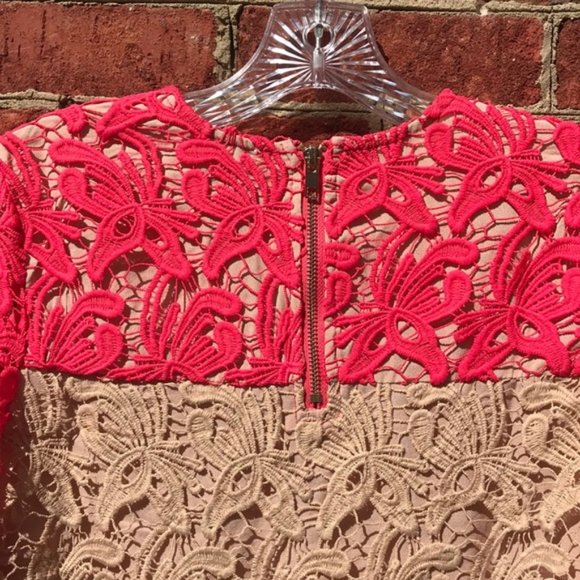 Vibrant Pink Endless Rose Revolve Floral Lace Crop Top - Picture 13 of 14